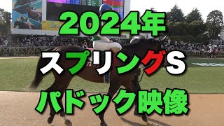 【4K動画】2024年スプリングSパドック【中山競馬場】