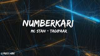 Watch Mc Stan Numberkari video