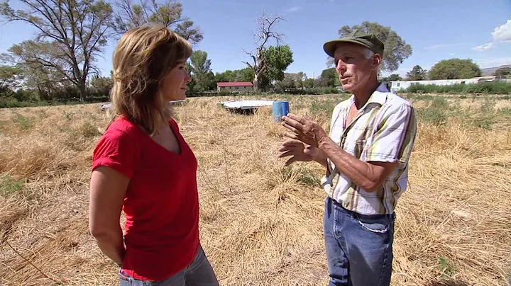 Pastured Poultry - America's Heartland