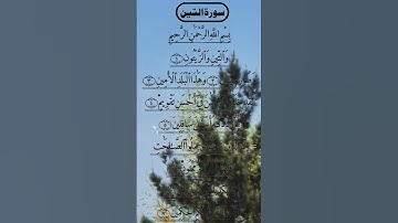 MOST BEAUTIFUL SURAH AL TEEN سورة التين #egzonibrahimi #surahalteen #alteen #quran
