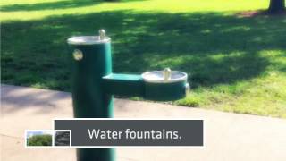 Mizner Bark Dog Park