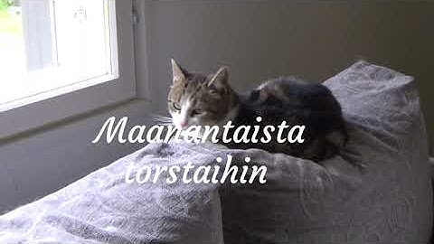Alkuviikon kuulumiset