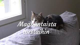 Alkuviikon kuulumiset