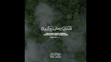 سورة لقمان / هذا خلق الله || محمد خليل قارئ ||✨.