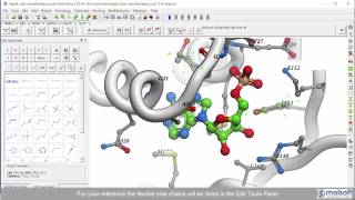 explicit / hybrid docking: fully flexible side-chains in the icm ligand editor.