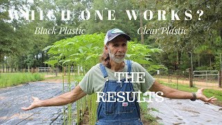 RESULTS  Are In! ~~ Black Plastic vs Clear Plastic?
