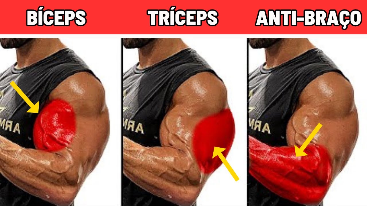 Quando você treina Bíceps, Tríceps e Antebraço no mesmo dia