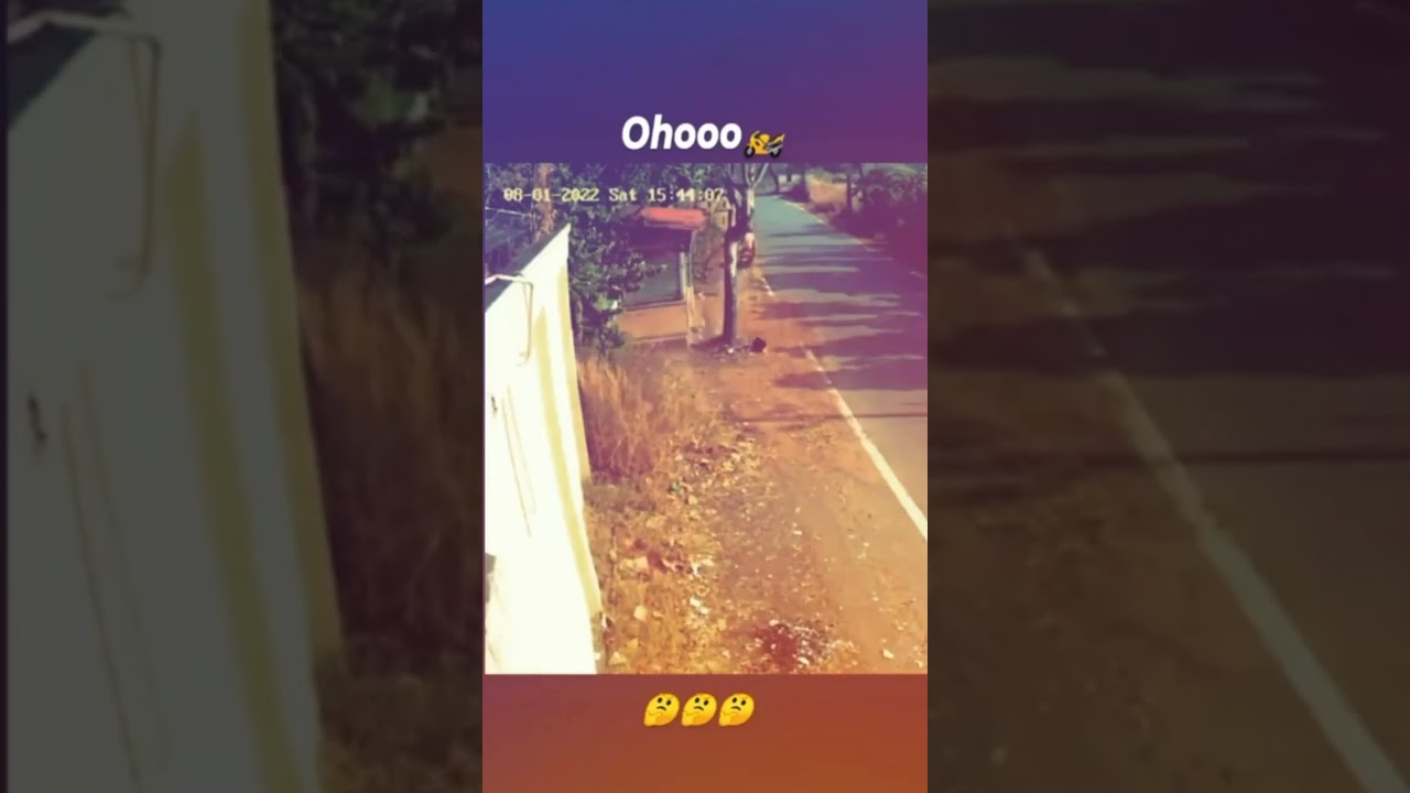 Dom5.......Ooooooooo🤣🤣🤣