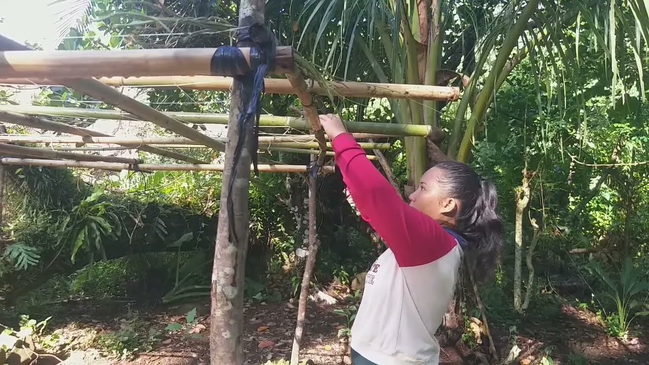 Naglinis at nagdagdag ng gapangan ng upo.Daily life in province.