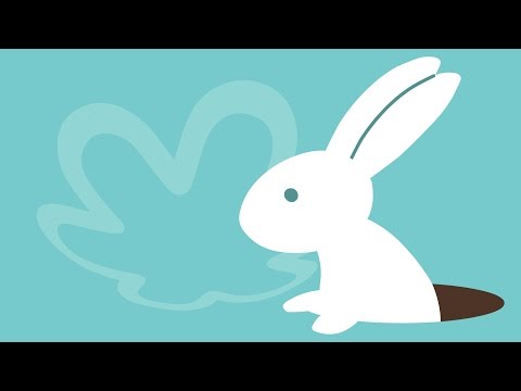 Por que não testamos em animais?