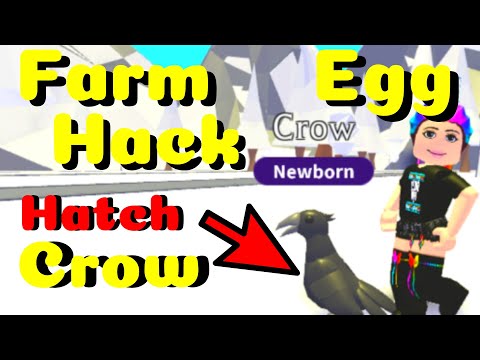 How To Hatch A Legendary Pet In Adopt Me With The Farm Eggs Crow Or Owl Hack Youtube - omfg roblox hackscript dragon keeper hack get legendary eggs gold and much more