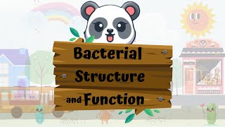 Bacterial Structure and Function