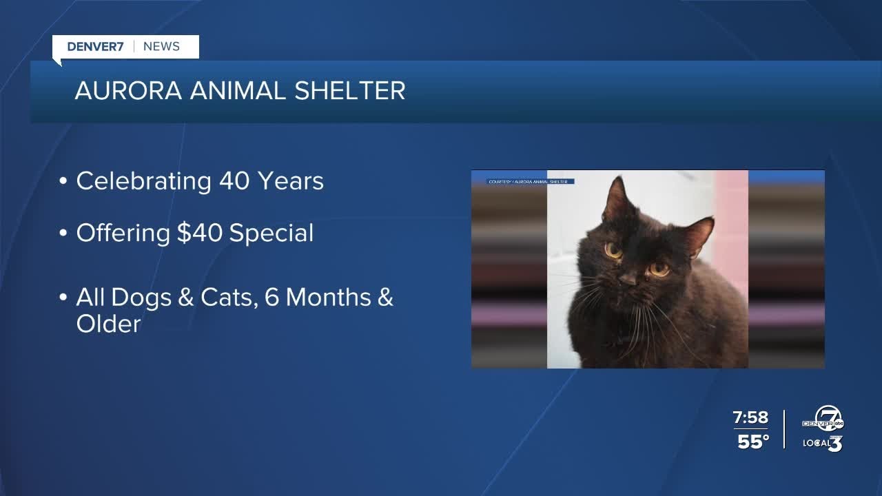 Aurora Animal Shelter offering 40 special to celebrate 40 years YouTube