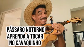 Vídeo de Pássaro Noturno
