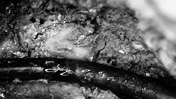 Modularsynthrombone - Diaclasi