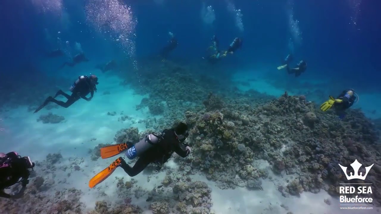 2018 06 16 Red Sea BF 2