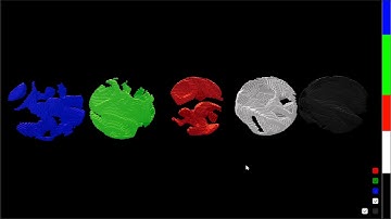 Rock Paper Scissors 3D Cellular Automata