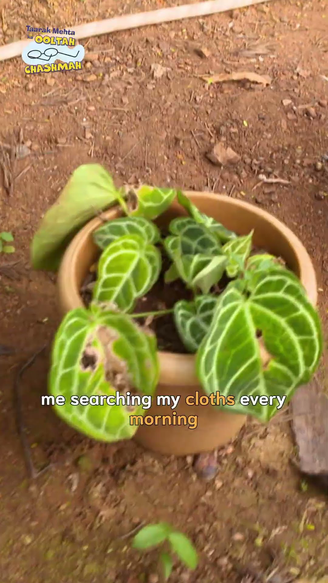 me every morning before going to office! #shorts #viralvideo #tmkoc #trending #mustwatch #comedy