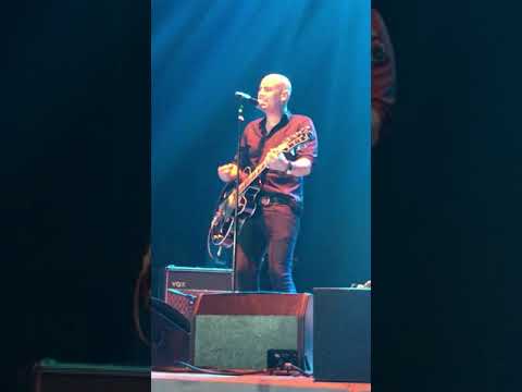 Peter Furler Live