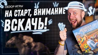 На старт, внимание, вскачь! - Обзор настольной игры