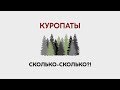 О репрессиях в Беларуси и захоронении в Куропатах