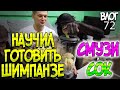 Научил обезьян готовить СМУЗИ / Отвечаю на Ваши вопросы