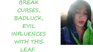 How To Use Basil Leaf/Bitter Leaf To Break Curses, Badluck & Negativity.#worldwide #spiritual