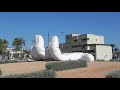 La hundoj de Ibiza