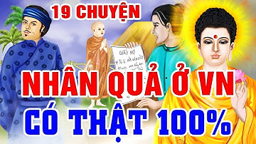 19 Truyện Phật Giáo Nhân Quả Có Thật 100% Ở Việt Nam, Gieo Nhân Gặt Quả _ Không Trừ Ai