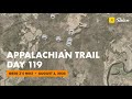 Appalachian Trail Thru Hike Day 119 - 2025 - Limestone Spring Shelter to Sages Ravine - Mile 1513.9