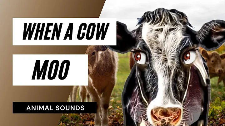 When A Cow Moo - when a cow moo sound / sound effect / animation