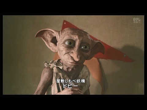 初めましてのドビー