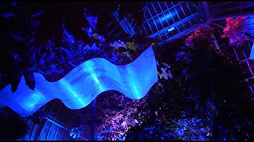 Experiential Learning at Lumagination with UB Department of Theatre and Dance