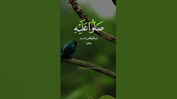 سورة الأحزاب ( آية ٥٦ ) القارئ سلمان العتيبي