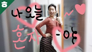 나 홀로 집에서 하는 짓들 Vlog