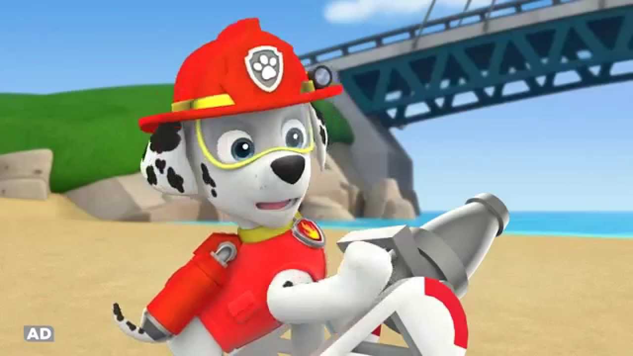 leappad paw patrol