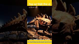 Khủng long "Nodosaur" được bảo quản hoàn hảo. #suthat #khampha #history#khủnglong #shorts