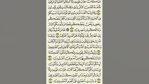 سورة العنكبوت من الآية ٢٤ إلى الآية ٣٠بصوت القارئ ماهر المعيقلي