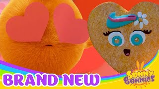 SUNNY BUNNIES  SUNNY VALENTINE'S DAY | COMPILATION | Videos For Kids | WildBrain