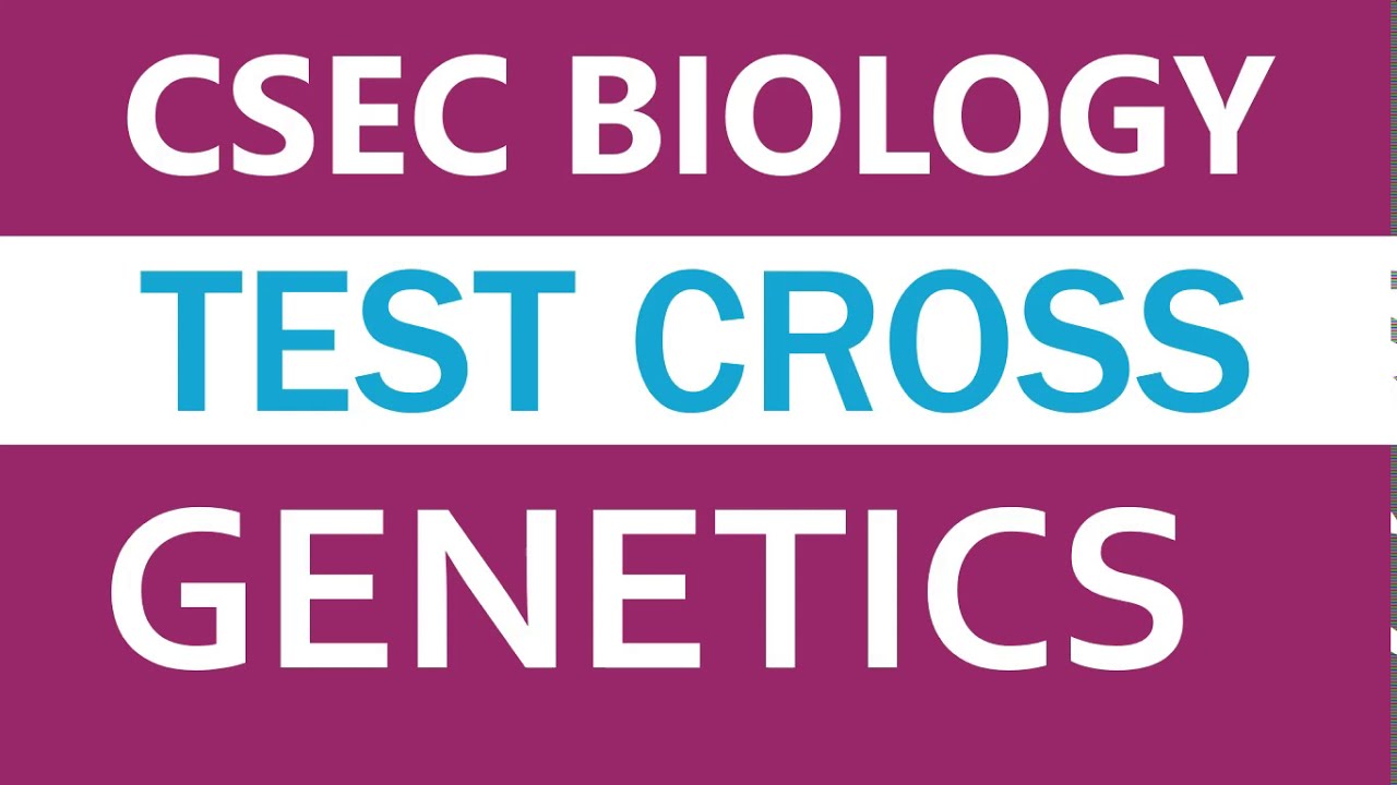 Test Cross Or Back Cross Ko Samjhaie Test Cross Or Back Cross Ko Samjhaie