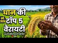 ध न क ट प 5 व र यट 2026 Best Paddy Varieties For 2026 