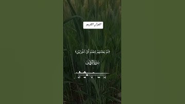 القران الكريم #اكسبلور #islamicquotes #دويتو #صوت_يشرح_القلب #صباح_الخير #dua #تيك_توك #duet