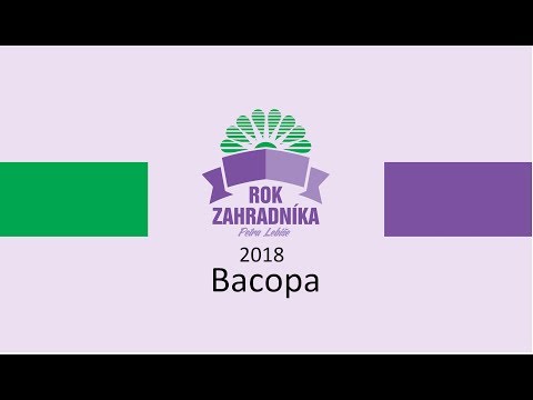 Βίντεο: Bacopa Karolinska - διακόσμηση δεξαμενών