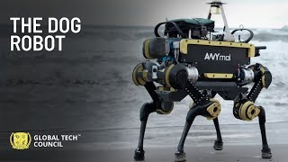 The Dog Robot | Global Tech Council