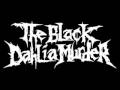 Video Burning the hive The Black Dahlia Murder