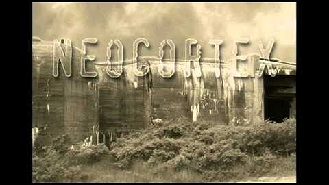 Neocortex - manipulated.dv