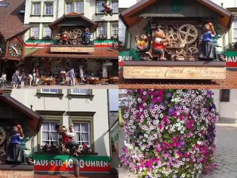 6-second clip Visiting the Triberg/Black Forest & Cuckoo Clock shop