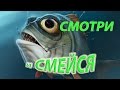 Анекдоты про рыбалку,  часть 2/ Jokes about fishing.