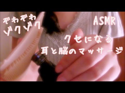 【ASMR】ぞわぞわするシリコンたわしで耳と脳をマッサージ-Sillicon brushing sounds/音フェチ【囁き声】