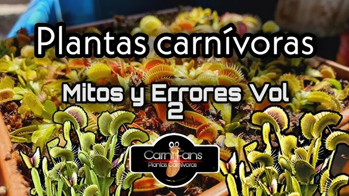 😍Pokémon promoviendo el cultivo de Plantas Carnivoras desde Siempre🌿  🙋‍♀️¿Cuál es tu favorito? 😉Siguenos en✓ Carnivorous Plant Shop - Darwin  collection - - Carnivorous Plant Shop - Darwin collection -  plantascarnivoras.com.mx